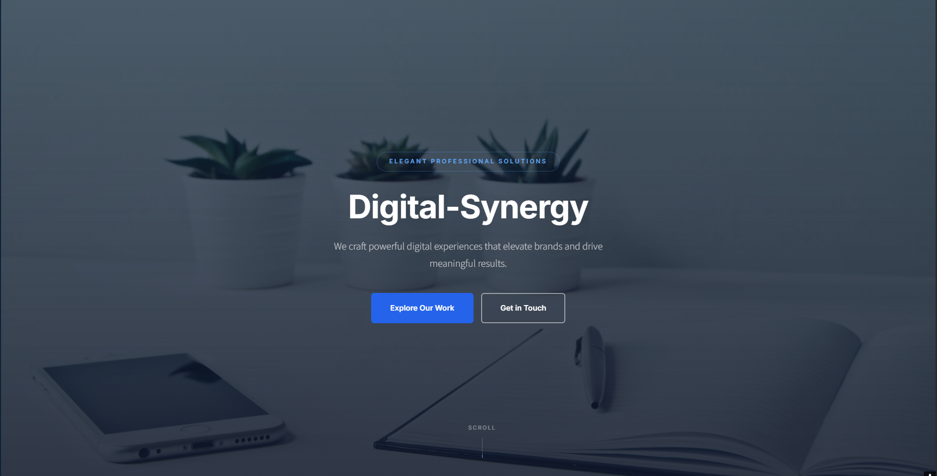 Digital-Synergy Elegant Demo